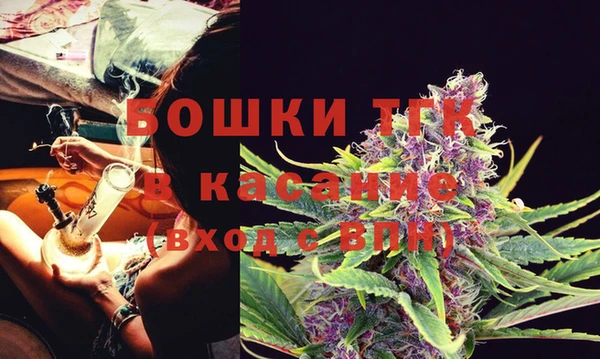 ГАЛЛЮЦИНОГЕННЫЕ ГРИБЫ Иннополис