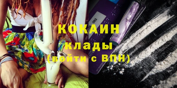 ГАЛЛЮЦИНОГЕННЫЕ ГРИБЫ Иннополис
