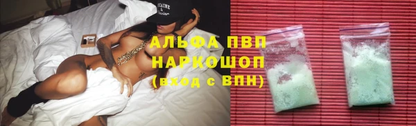 ГАЛЛЮЦИНОГЕННЫЕ ГРИБЫ Иннополис