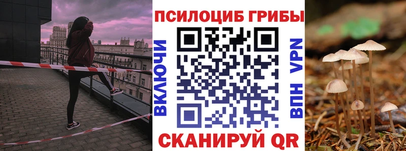 Псилоцибиновые грибы ЛСД ссылка на мегу зеркало Катав-Ивановск