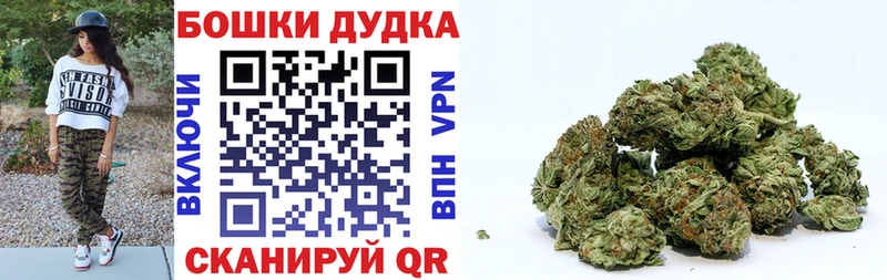 Бошки марихуана сатива  купить закладку  Катав-Ивановск 